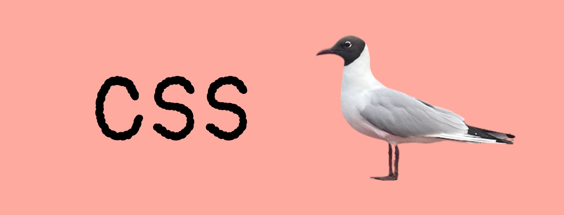 Botón rojo que dice CSS. Hay dos aves a los costados.